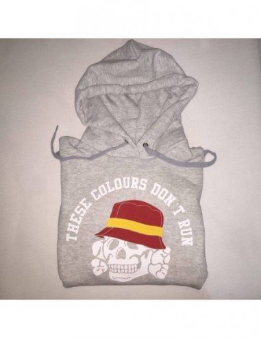 Sudadera Capucha "These colours" Chico